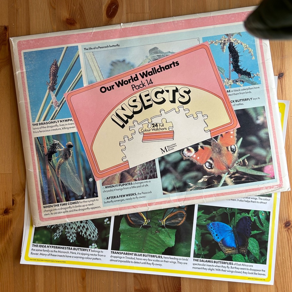 Vintage Our World Wallcharts INSECTS by Macmillan Children's Books - 24 charts